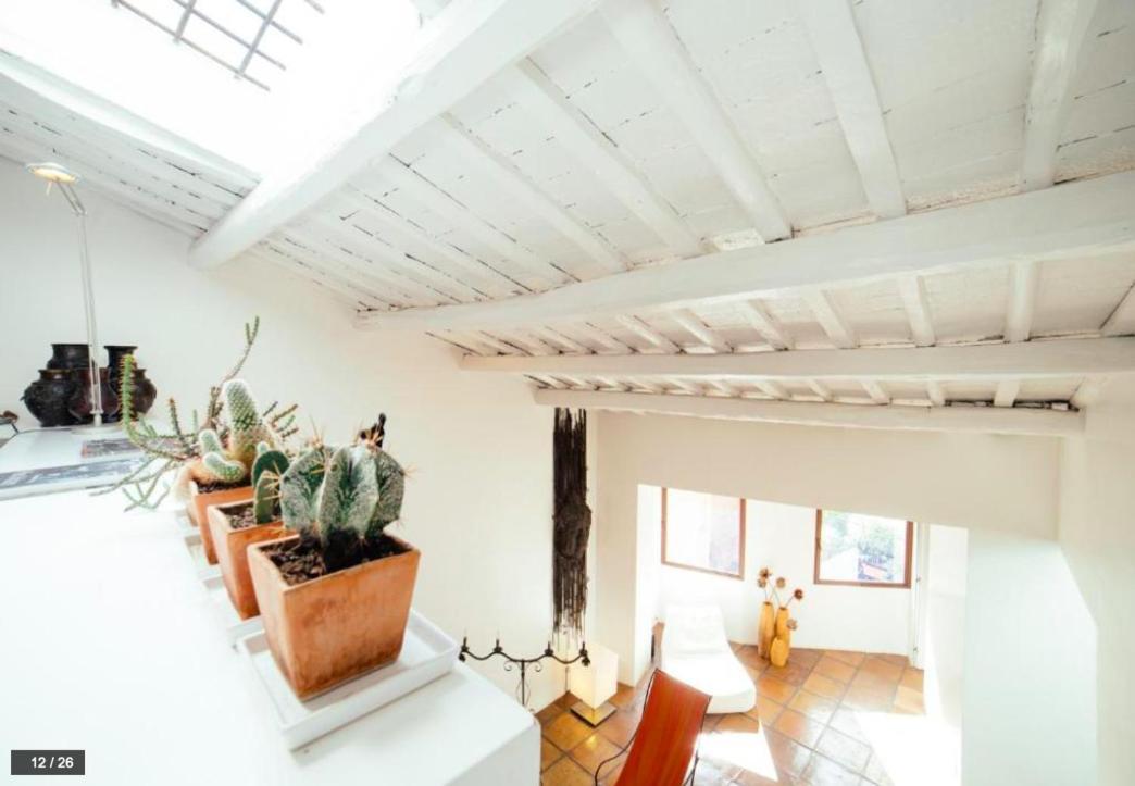 Luxury Art Apartment In Trastevere With Terrace Roma Exterior foto